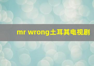 mr wrong土耳其电视剧